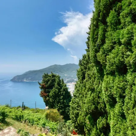 Pet Friendly In With Wifi Moneglia