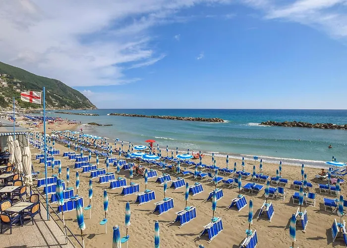 Apartment Lovely In With Wifi